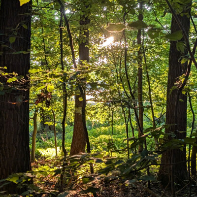 Sommerzeit - einfach nice! - AYUVANA - Sommer ist einfach nice!