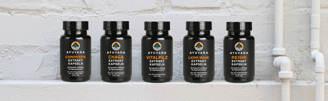 AYUVANA Vitalpilz Kapseln - Produktübersicht